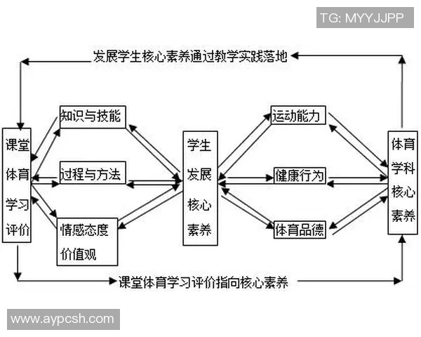 体育课听课记录全景分析与总结提升学生体育素养的有效策略