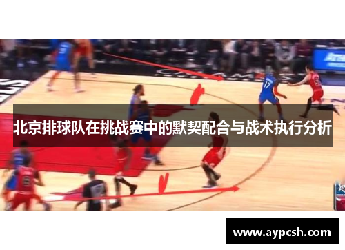 北京排球队在挑战赛中的默契配合与战术执行分析
