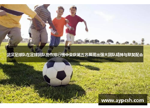 武汉足球队在足球团队协作排行榜中荣获第五名展现出强大团队精神与默契配合